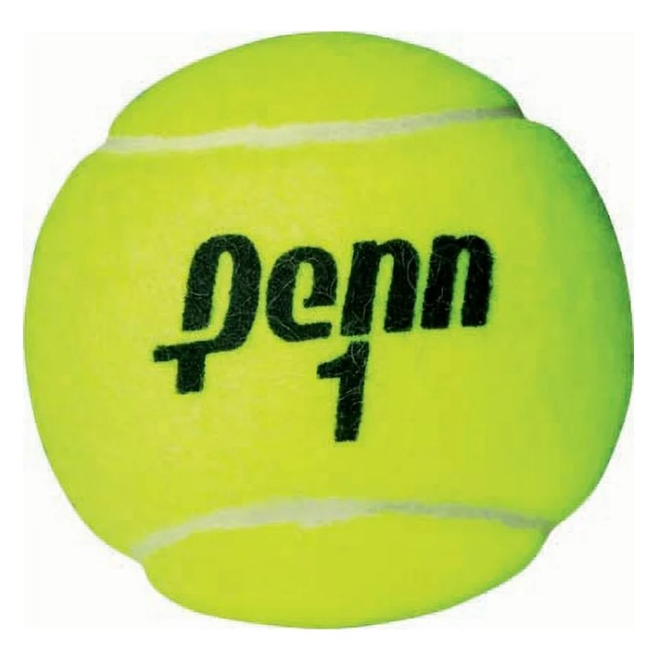 PENN Championship Extra Duty Tennis Balls in Tanzania