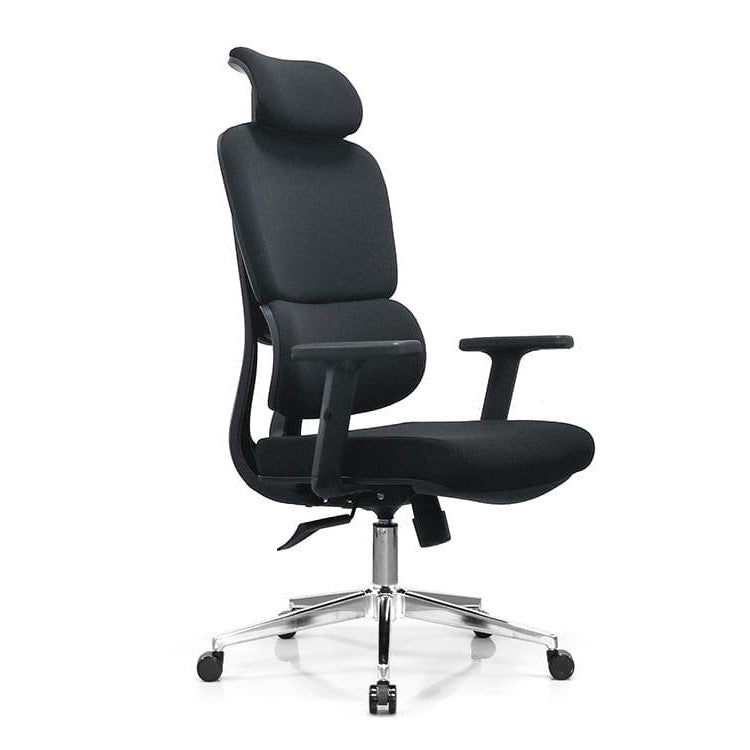 Trix Dual Layered High-Back Ergonomic Chair in Dar Tanzania