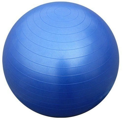 65cm Fitness Gym Ball | Fitness Equipment in Dar Tanzania