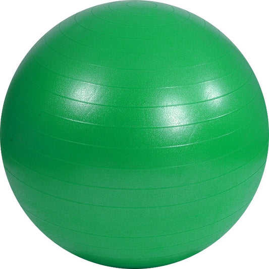 65cm Fitness Gym Ball | Fitness Equipment in Dar Tanzania