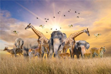 Big Five Animals 500pc Jigsaw Puzzle | Puzzles in Dar Tanzania