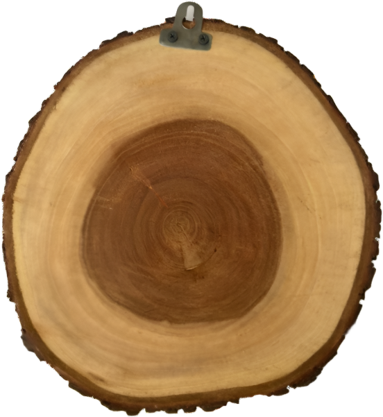 Personalized Wood Slice Frame | Personalized Gifts in Dar Tanzania