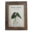 5 x 7 Inch Brown Wooden Picture Frame | Photo frame in Dar Tanzania