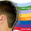 WAHL Color Pro Hair Clipper 79400 | Wahl Clippers in Dar Tanzania