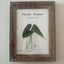 5 x 7 Inch Brown Wooden Picture Frame | Photo frame in Dar Tanzania