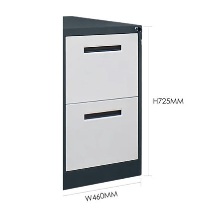 TRIX 2 Drawer Filing Cabinet | File Cabinets in Dar Tanzania