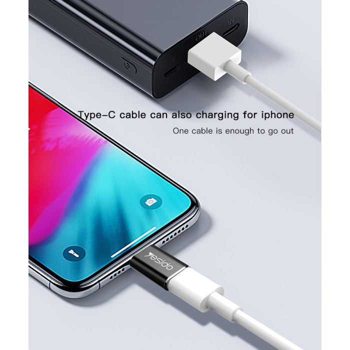 YESIDO GS03, USB C Female To Lightning Apple Male Adapter