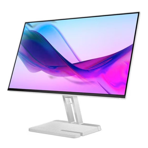 Lenovo L24i-4A Monitor