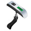 FH Portable Digital Electronic Luggage Weigh Scale in Dar Tanzania