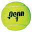 PENN Championship Extra Duty Tennis Balls in Tanzania
