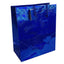 Holographic Foil Design Gift Bag, Large, 12pc Pack | Gift Bags