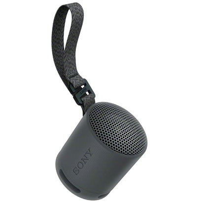SONY SRS-XB100 Compact Bluetooth Speaker in Dar Tanzania