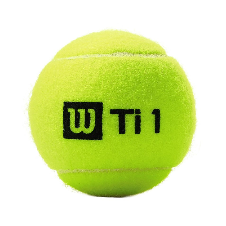 WILSON Titanium All Court Tennis Balls | Tennis Balls in Dar Tanzania