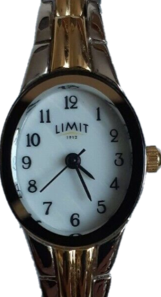 LIMIT Ladies 2 Tone Steel Watch 6616 | Ladies Watches in Dar Tanzania
