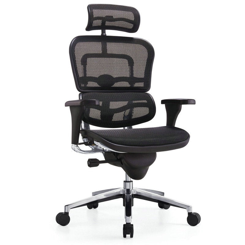Sculpture Ergo High-Back Fully Adjustable Office Chair in Dar Tanzania