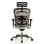 Sculpture Ergo High-Back Fully Adjustable Office Chair in Dar Tanzania