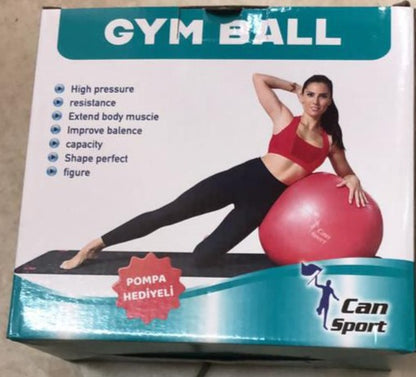 65cm Fitness Gym Ball | Fitness Equipment in Dar Tanzania