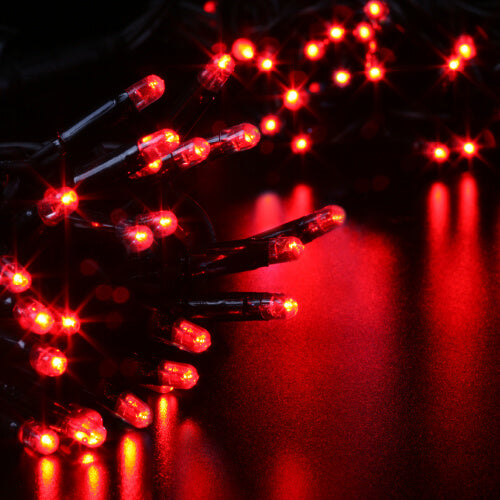 10 Meter Red 100 LED Lights | Christmas lights in Dar Tanzania